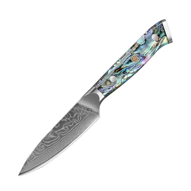Damascus Steel Kitchen Knife